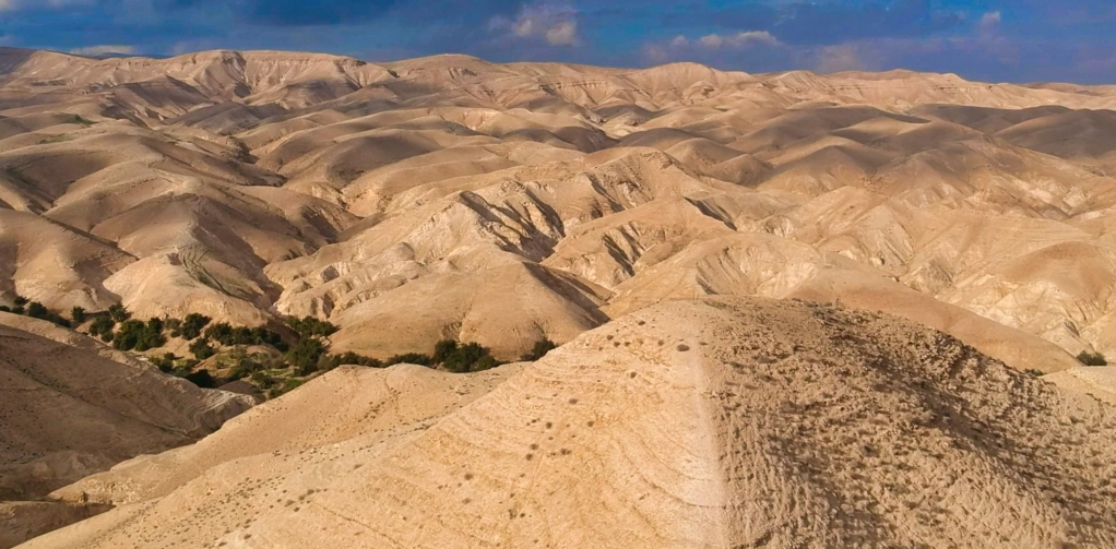 The Desert Experience