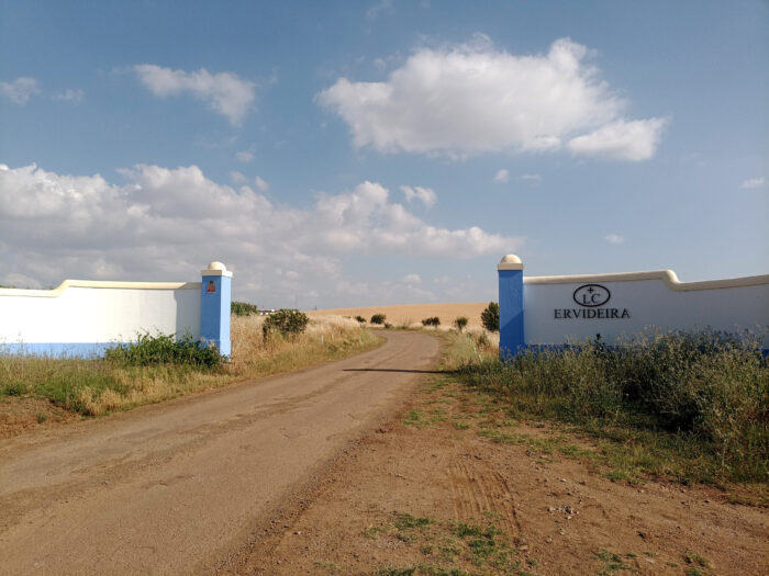 VISITÁMOS A HERDADE DO CONDE D’ERVIDEIRA