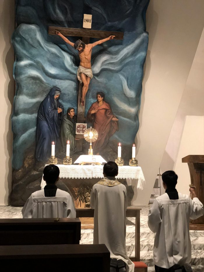 PAIXÃO DE JESUS SEGUNDO AS VISÕES DA BEATA ANNA CATHARINA EMMERICH