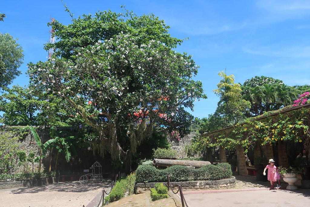ILHAS DE SÃO LÁZARO – 7