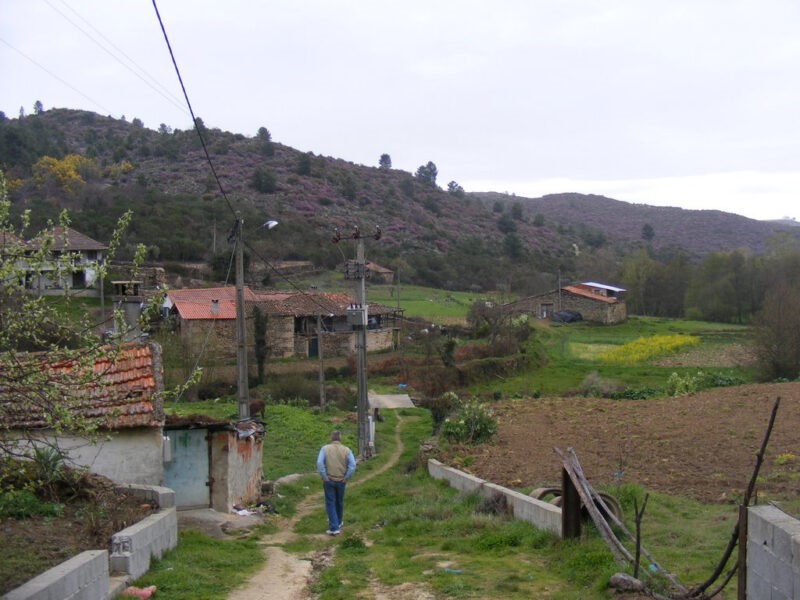 Rua da Senhora Dona Ilda – 1