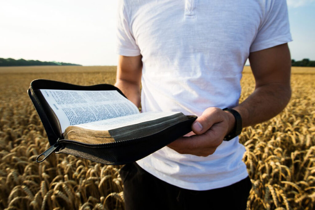 CISMAS, REFORMAS E DIVISÕES NA IGREJA – CCXII