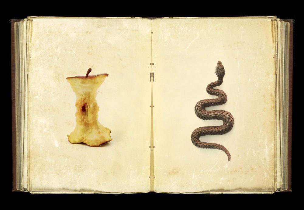 TEOLOGIA, UMA DENTADA DE CADA VEZ (193)