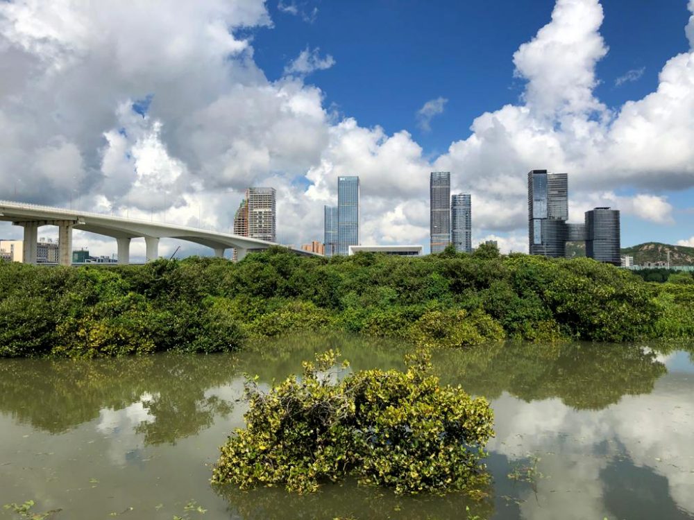 USJ estreia-se na co-organização da Semana Verde de Macau