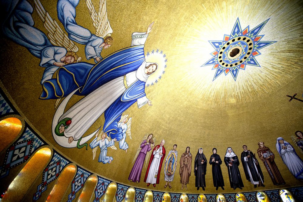 SOLENIDADE DA IMACULADA CONCEIÇÃO DA VIRGEM SANTA MARIA (8 DE DEZEMBRO)