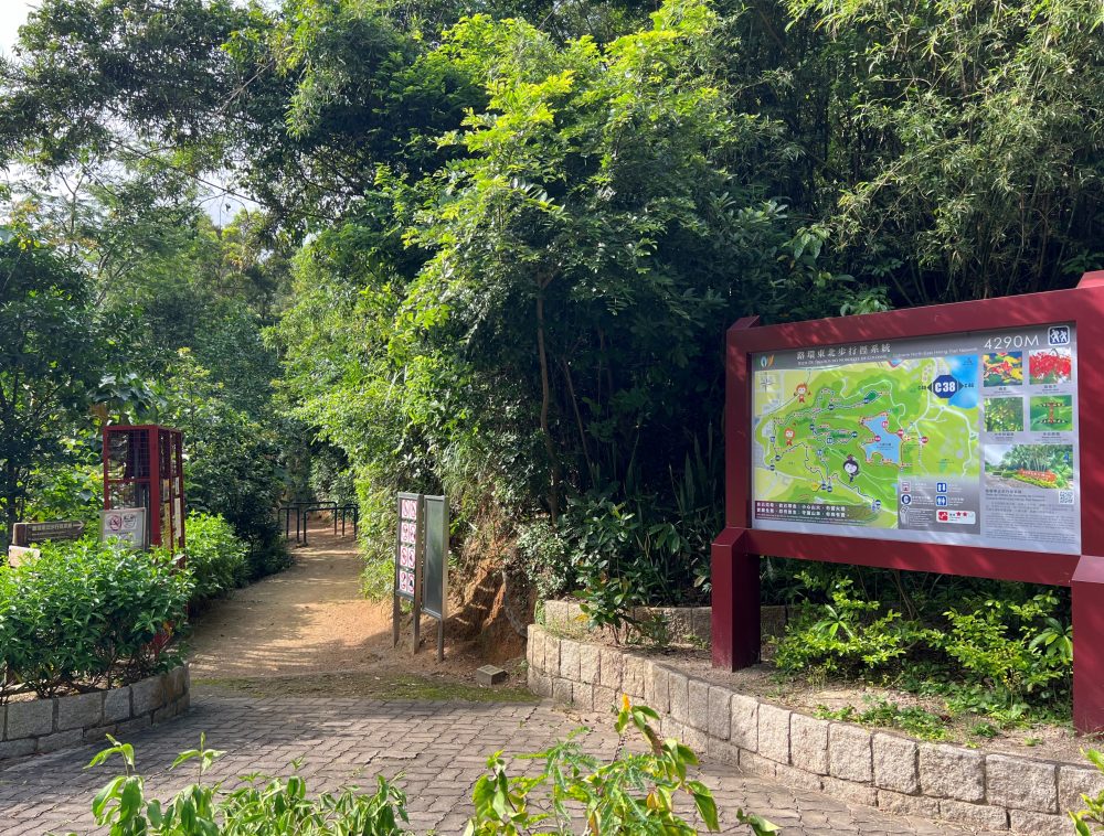 CENTRO CULTURAL NEWMAN DINAMIZA DIFERENTES EVENTOS ESTE FIM-DE-SEMANA