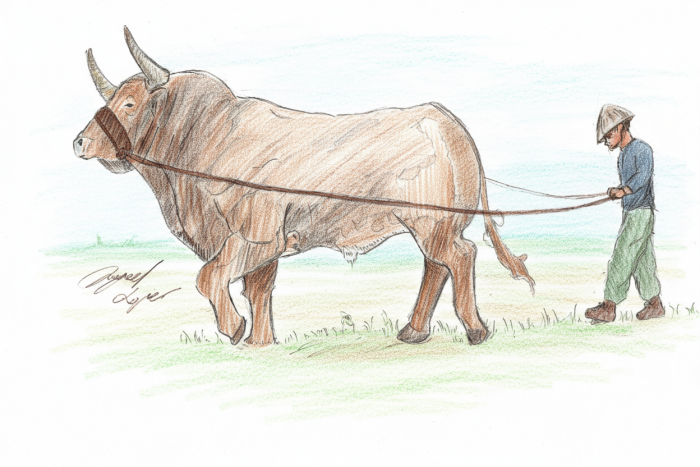 Introdução ao Livro de Isaías