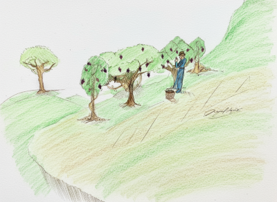 ABRA A SUA BÍBLIA – 10