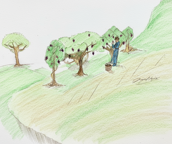 ABRA A SUA BÍBLIA – 10