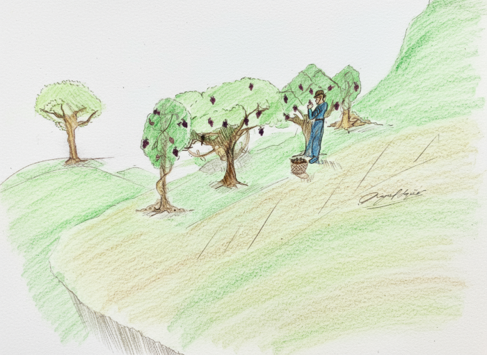 ABRA A SUA BÍBLIA – 10