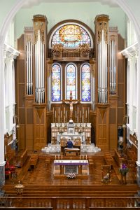 Sé Catedral: uma primeira visão do órgão de tubos