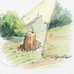 ABRA A SUA BÍBLIA – 13